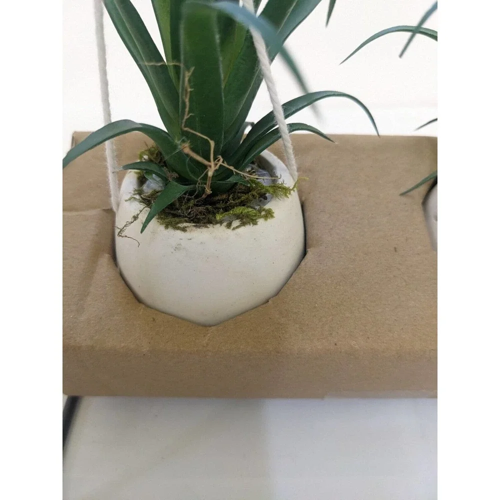 Set 3 pcs Hanging Cactus Cacti in Planters Indoor Rope Hanger Flower Pot Basket